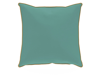 Throw Pillows