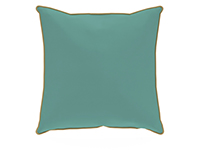 Throw Pillows