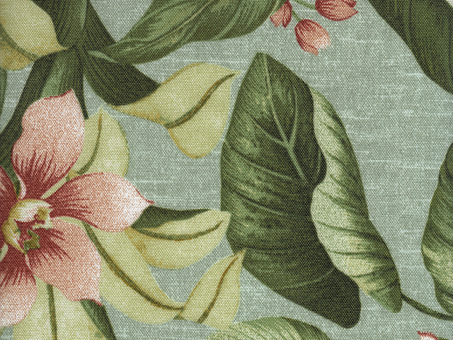 Jamaica Mist Jamaica Mist