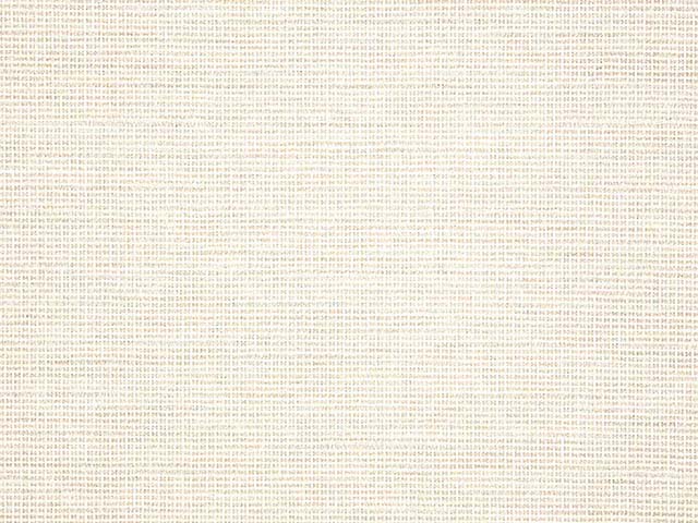 Sunbrella Rally Parchment