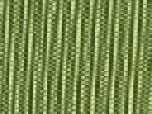 Sunbrella Spectrum Cilantro Sunbrella Spectrum Cilantro