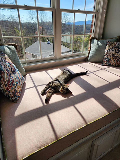 Large Window Seat Project