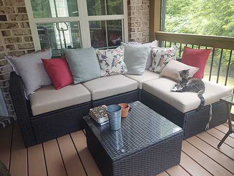 Everyone loves the new cushions!