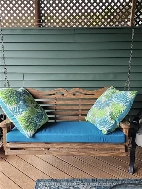 Swing cushion