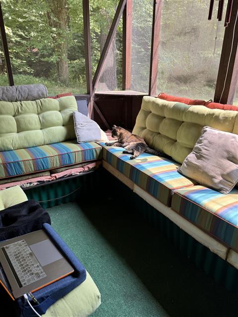 Back Porch Cushion Upgrade