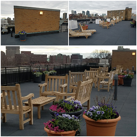 Before and After pictures