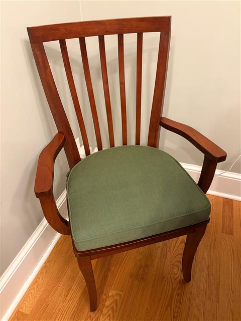 Fabulous chair cushions!