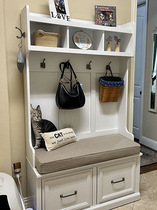 Custom Bench Cushion - Square Corners
DIMENSIONS	37.5″ Wide  x  16.5″ Deep  x  3″ Thick
STRUCTURE	Boxed Edge
FABRIC	Sunbrella Blend Sand (16001-0012)
TRIMMING	Double Welt
Blend Sand (16001-0012)
FILLING	Polyurethane Foam
With Fiber Batting
TIES No ties