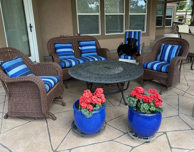 1 custom chaise cushion - plain with square corners - set in waterfall construction with Sunbrella Milano Cobalt fabric, polyester fiber, no ties

...and a very handsome Rottweiler, Nacho!