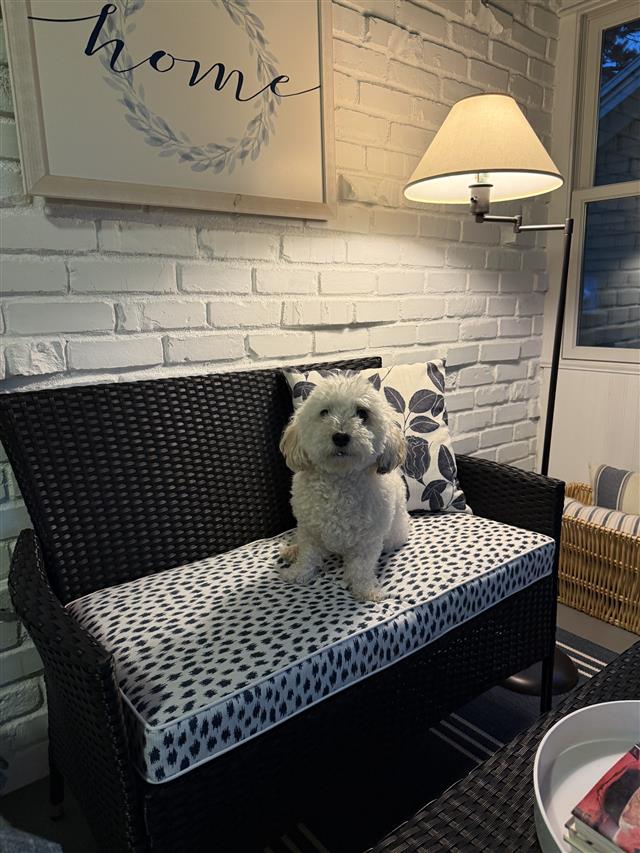 1 custom bench cushion - trapezoid - set in boxed construction with Sunbrella Agra Indigo fabric and double welt White trimming, polyurethane foam with fiber batting, no ties