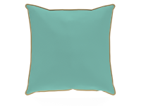 Throw Pillows
